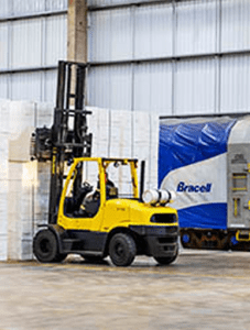 Bracell – Sindpacel